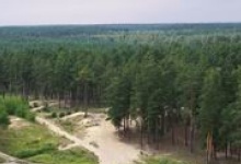 В лесхозе Дзержинска сохраняется высокая пожароопасность