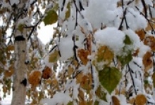 В Дзержинске скоро выпадет первый снег
