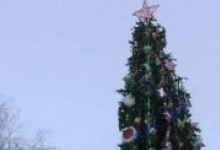 Главную елку Дзержинска украсят дети