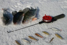 В Дзержинске пройдут соревнования по зимней рыбалке памяти полковника Писарева