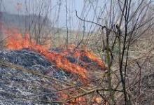 В Дзержинске начинает гореть сухая трава