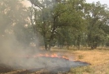 В лесах Дзержинска установился первый класс пожароопасности