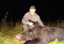 Дзержинцам разрешают убить сто медведей