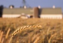 В Дзержинске подведут итоги конкурса для фермеров