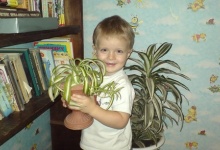 В Дзержинске пройдет презентация проекта "Растения дарят здоровье детям!"