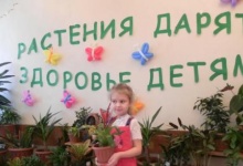 В Дзержинске продолжается реализация проекта "Растения дарят здоровье детям"
