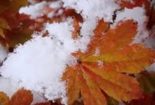 В Дзержинске скоро выпадет первый снег