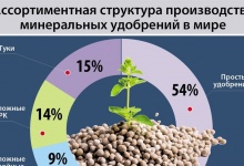 Специфика российского рынка минеральных удобрений