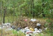 Уборка лесного мусора обойдется Дзержинску в полтора миллиона рублей