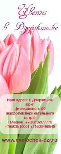 Магазин Цветы В Дзержинске Нижегородской Области