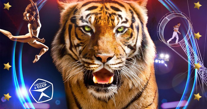 Цирк бенгальские тигры. Тигр в цирке. Цирк плакат тигры. Афиша цирка с тиграми.